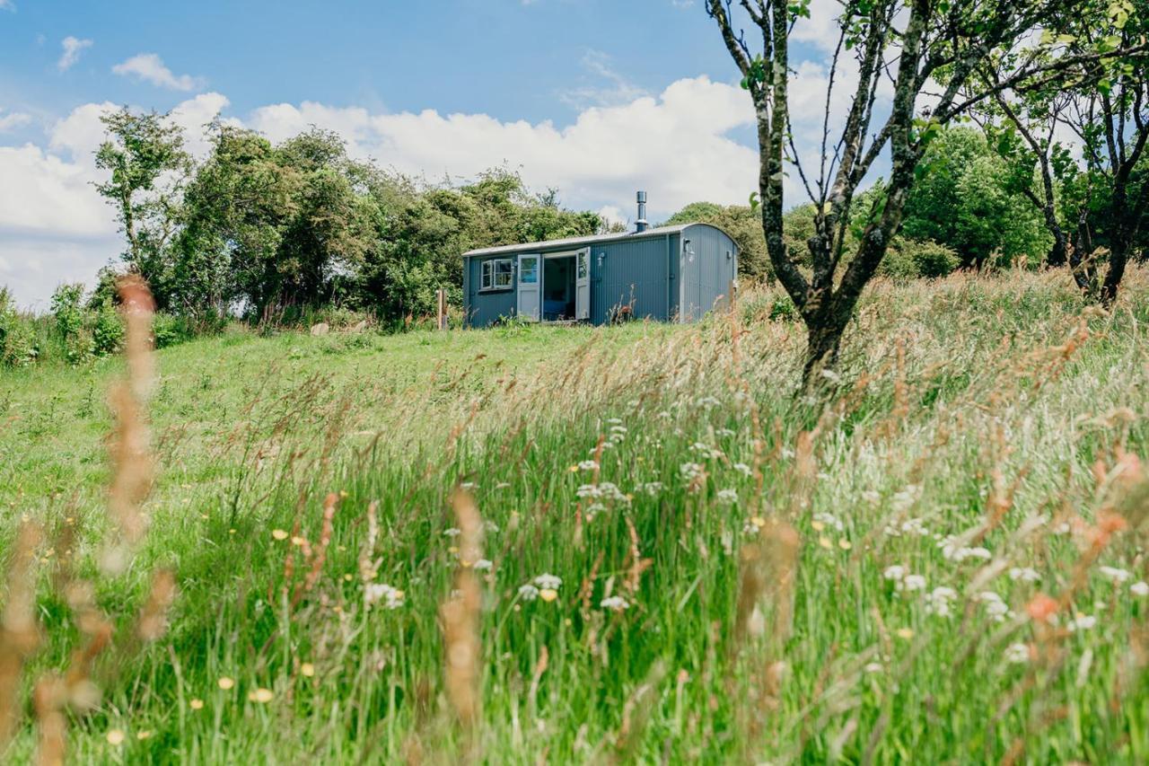 Blatchford Briar - Award Winning Private Shephards Huts With Their Own Secluded Hot Tubs Milton Abbot Luaran gambar
